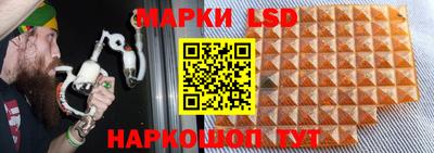 a pvp Волжск