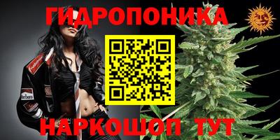крисы Волгодонск