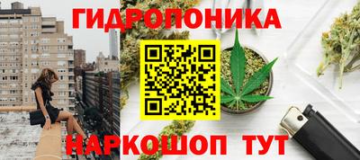 крисы Волгодонск